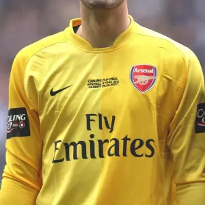 Manuel Almunia's Heartbreaking Loss: Arsenal 1-2 Chelsea, Carling Cup Final, 2007 Manuel Almunia's Heartbreaking Loss: Arsenal 1-2 Chelsea, Carling Cup Final, 2007