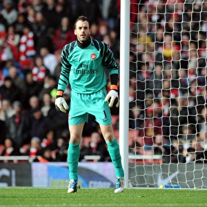 Manuel Almunia's Heroics: Arsenal's FA Cup Victory Over Huddersfield Town (January 30, 2011)