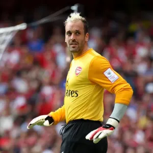 Manuel Almunia's Triumph: Arsenal's 3-0 Emirates Cup Victory over Rangers