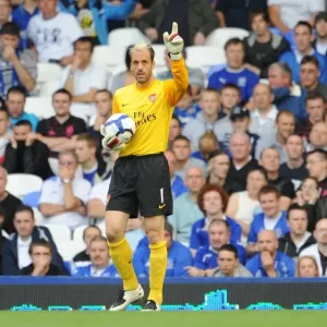 Manuel Almunia's Unforgettable Night: Arsenal's Historic 6-1 Victory Over Everton