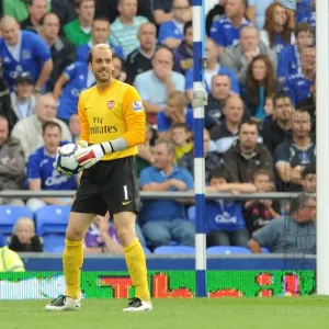 Manuel Almunia's Unforgettable Night: Arsenal's Historic 6-1 Victory Over Everton (August 2009)