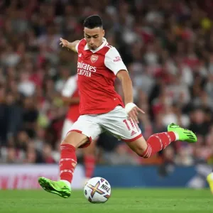 Martinelli Makes Brilliant Debut: Arsenal's New Star Shines Against Aston Villa (August 2022) Martinelli Makes Brilliant Debut: Arsenal's New Star Shines Against Aston Villa (August 2022)