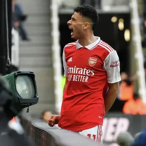 Martinelli's Own Goal Secures Dramatic Arsenal Victory over Newcastle United