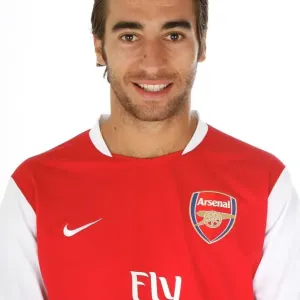 Flamini Mathieu