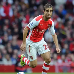 Mathieu Flamini (Arsenal). Arsenal 2: 2 Hull City. Barclays Premier League. Emirates Stadium Mathieu Flamini (Arsenal). Arsenal 2: 2 Hull City. Barclays Premier League. Emirates Stadium
