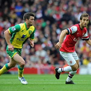 Mathieu Flamini (Arsenal) Jonny Howson (Norwich). Arsenal 4: 1 Norwich City. Barclays Premier League