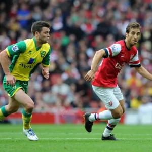 Mathieu Flamini (Arsenal) Jonny Howson (Norwich). Arsenal 4: 1 Norwich City. Barclays Premier League