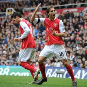Mathieu Flamini celebrates the 2nd Arsenal goal scored by Theo Walcott Mathieu Flamini celebrates the 2nd Arsenal goal scored by Theo Walcott