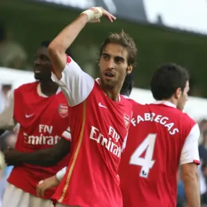 Mathieu Flamini celebrates the 3rd Arsenal goal Mathieu Flamini celebrates the 3rd Arsenal goal
