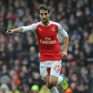 Mathieu Flamini in FA Cup Action: Arsenal vs Hull City at The Emirates Mathieu Flamini in FA Cup Action: Arsenal vs Hull City at The Emirates