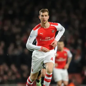 Per Mertesacker in Action: Arsenal vs Newcastle United, Premier League 2014/15 Per Mertesacker in Action: Arsenal vs Newcastle United, Premier League 2014/15