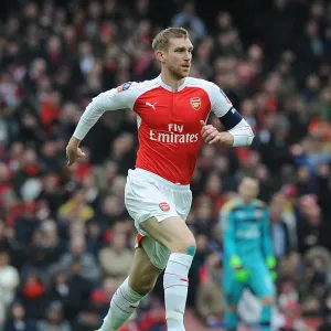 Per Mertesacker in FA Cup Action: Arsenal vs Hull City at The Emirates Per Mertesacker in FA Cup Action: Arsenal vs Hull City at The Emirates