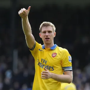 Per Mertesacker's Triumphant Salute: Crystal Palace vs. Arsenal, Premier League 2013-14