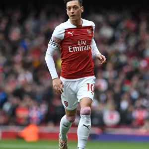 Mesut Ozil: In Action for Arsenal Against Brighton & Hove Albion, Premier League 2018-19