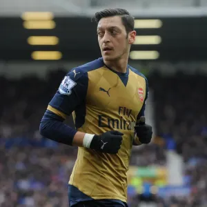 Mesut Ozil (Arsenal). Everton 0: 2 Arsenal. Barclays Premier League. Goodison Park