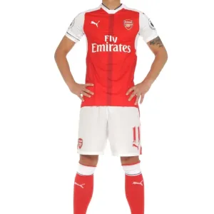Mesut Ozil: Arsenal's 2016-17 First Team Member Mesut Ozil: Arsenal's 2016-17 First Team Member
