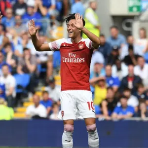 Mesut Ozil Celebrates Arsenal's Second Goal vs Cardiff City (2018-19)