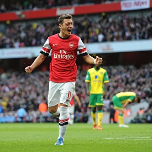 Mesut Ozil Scores Arsenal's Second Goal vs. Norwich City (2013-14)