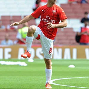 Mikel Arteta (Arsenal). Arsenal 0: 2 West Ham United. Barclays Premier League. Emirates