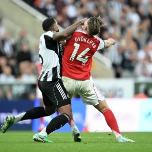 Newcastle United v Arsenal - Premier League Newcastle United v Arsenal - Premier League