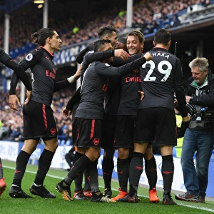 Ozil, Xhaka, Bellerin, and Sanchez Celebrate Arsenal's Goals Against Everton (2017-18)