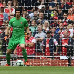 Petr Cech (Arsenal). Arsenal 0: 2 Manchester City. Premier League. Emirates Stadium