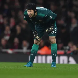 Petr Cech (Arsenal). Arsenal 3: 3 Liverpool. Premier League. Emirates Stadium, 22 / 12 / 17