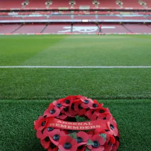 Remembrance Day Tribute: Arsenal vs. Tottenham Hotspur, Premier League 2016-17