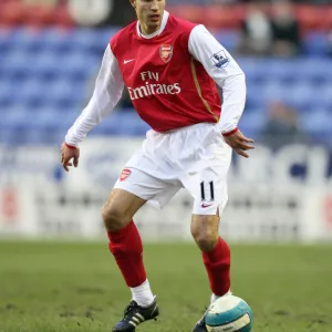 Robin van Persie (Arsenal)