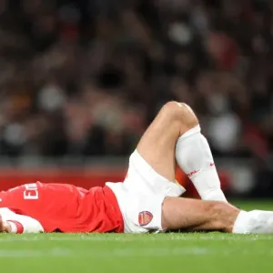 Robin van Persie (Arsenal). Arsenal 2: 1 Fulham. Barclays Premier League Robin van Persie (Arsenal). Arsenal 2: 1 Fulham. Barclays Premier League