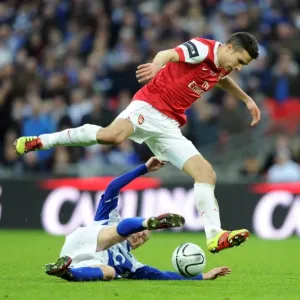 Robin van Persie (Arsenal) Sebastien Larsson (Birmingham). Arsenal 1: 2 Birmingham City Robin van Persie (Arsenal) Sebastien Larsson (Birmingham). Arsenal 1: 2 Birmingham City
