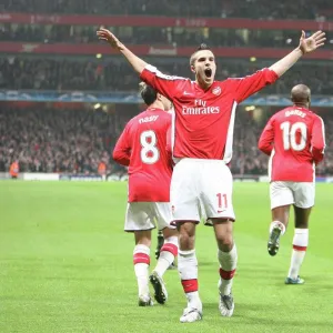 Robin van Persie celebrates scoring the Arsenal goal