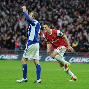 Robin van Persie injured whilst scoring the Arsenal goal. Arsenal 1: 2 Birmingham City
