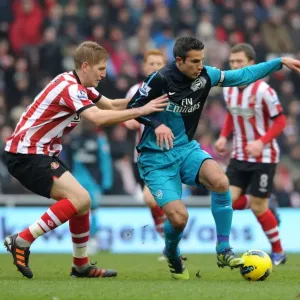 Robin van Persie's Brace: Arsenal Triumphs Over Sunderland 2-1 in Premier League Robin van Persie's Brace: Arsenal Triumphs Over Sunderland 2-1 in Premier League