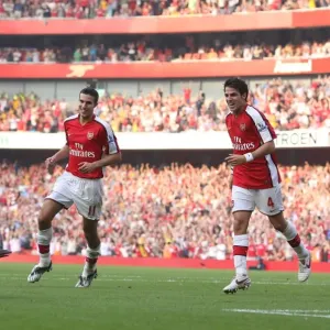 Robin van Persie's Double: Arsenal's 3-0 Victory Over Newcastle (2008) Robin van Persie's Double: Arsenal's 3-0 Victory Over Newcastle (2008)