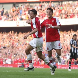 Robin van Persie's Double Strike: Arsenal's Dominant 3:0 Victory Over Newcastle (Fabregas Celebrates) Robin van Persie's Double Strike: Arsenal's Dominant 3:0 Victory Over Newcastle (Fabregas Celebrates)