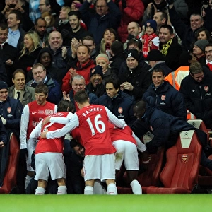 Robin van Persie's Goal Celebration: Arsenal vs. Everton, Premier League 2011-12