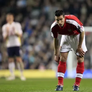 Robin van Persie's Strike: Arsenal's Victory over Tottenham Hotspur in the Barclays Premier League (April 14, 2010)