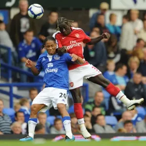 Sagna's Dominance: Arsenal's 6-1 Victory over Everton with Bacary Sagna and Steven Pienaar