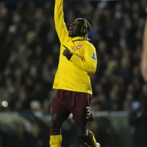 Sagna's Stunner: Arsenal's Triumph over Leeds United in the FA Cup, January 2011