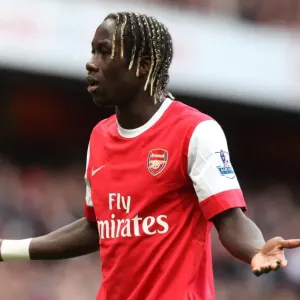 Sagna's Victory: Arsenal 1-0 West Ham United, Barclays Premier League (October 2010)