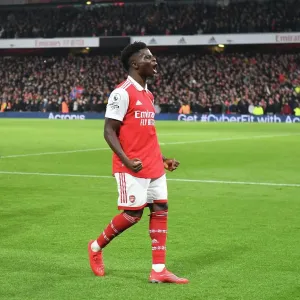 Saka Scores the Winner: Arsenal FC vs Manchester City, Premier League 2022-23 Saka Scores the Winner: Arsenal FC vs Manchester City, Premier League 2022-23