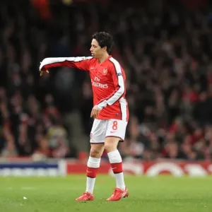 Samir Nasri in action, Print