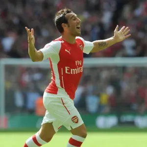 Santi Cazorla Scores the Opener: Arsenal's Victory Kickstarts 2014/15 Season vs Manchester City Santi Cazorla Scores the Opener: Arsenal's Victory Kickstarts 2014/15 Season vs Manchester City