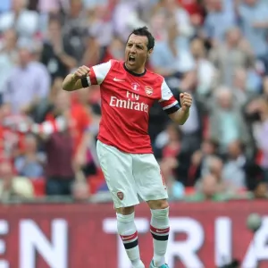 Santi Cazorla's FA Cup-Winning Goal: Arsenal vs. Hull City, 2014