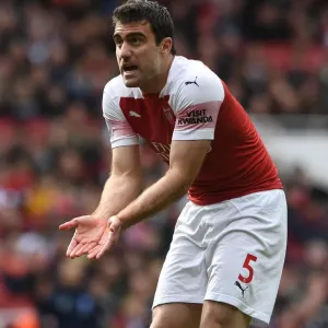 Sokratis in Action: Arsenal vs Brighton & Hove Albion, Premier League 2018-19