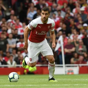 Sokratis in Action: Arsenal vs Manchester City, Premier League 2018-19