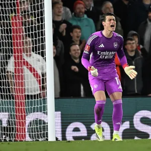 Southampton v Arsenal - Emirates FA Cup Quarter Final