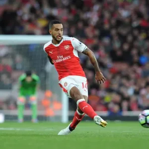 Theo Walcott (Arsenal). Arsenal 0: 0 Middlesbrough. Premier League. Emirates Stadium Theo Walcott (Arsenal). Arsenal 0: 0 Middlesbrough. Premier League. Emirates Stadium