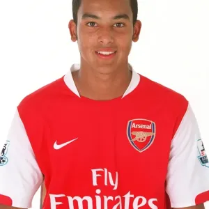 Theo Walcott ist Stammspieler der ersten Mannschaft von Arsenal im Emirates-Stadion.